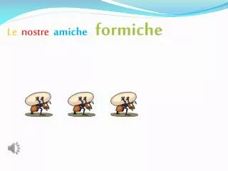le nostre amiche formiche