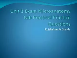 Unit 1 Exam Microanatomy Lab Practical Practice Questions