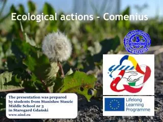 Ecological actions - Comenius