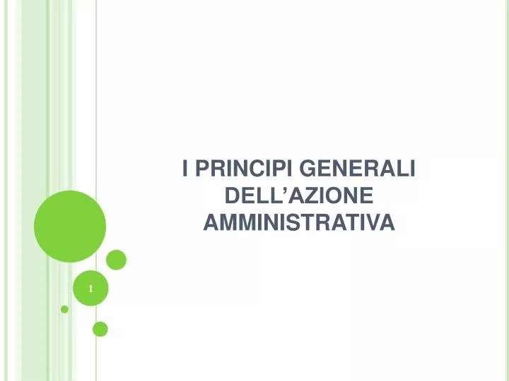 i principi generali dell azione amministrativa