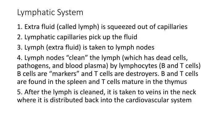 lymphatic system