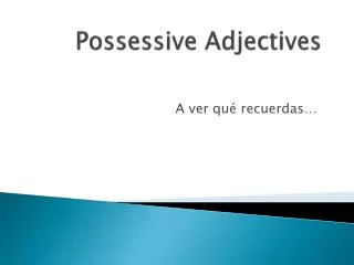 Possessive Adjectives