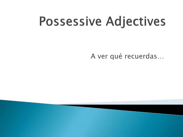 possessive adjectives