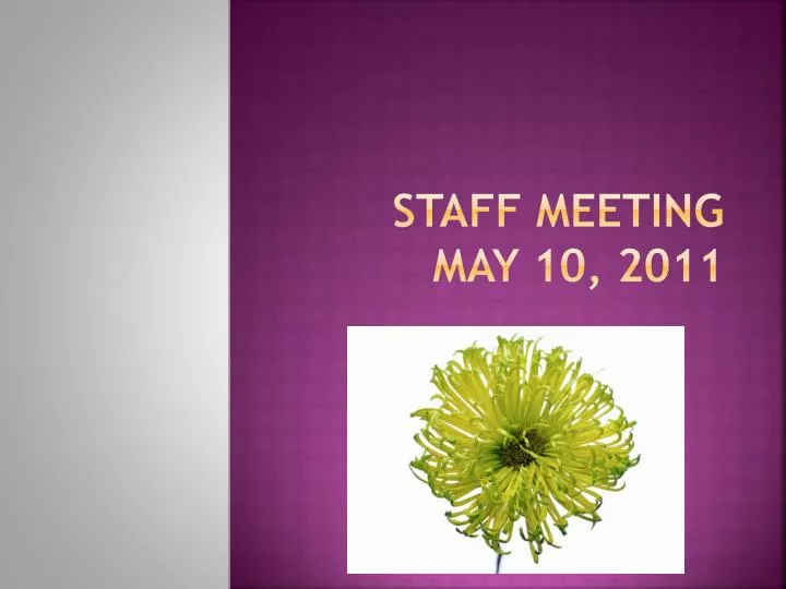 staff meeting may 10 2011