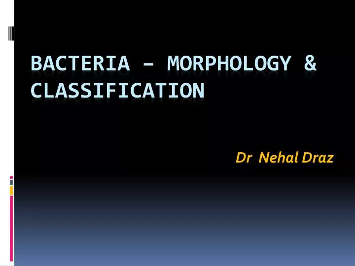 Ppt Bacteria Morphology Classification Powerpoint Presentation Hot Sex Picture