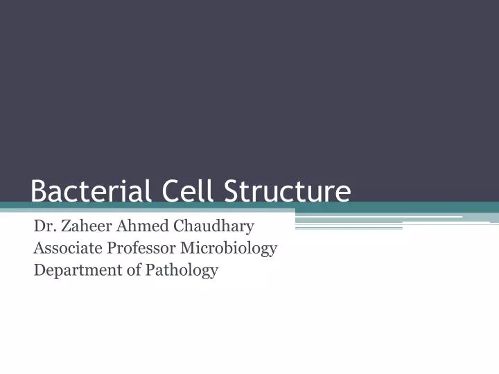 bacterial cell structure