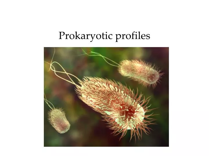 prokaryotic profiles