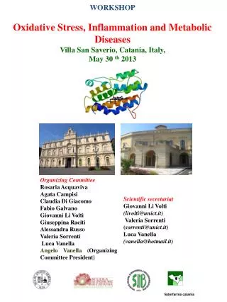 WORKSHOP Oxidative Stress, Inflammation and Metabolic Diseases Villa San Saverio, Catania, Italy,