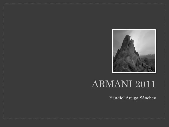 armani 2011