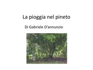la pioggia nel pineto