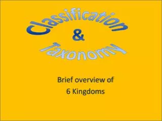 Brief overview of 6 Kingdoms