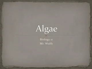 Algae