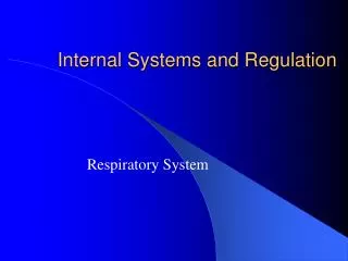 Internal Systems and Regulation