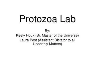 Protozoa Lab