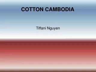 COTTON CAMBODIA
