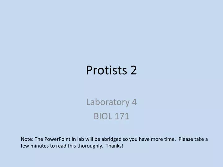 protists 2