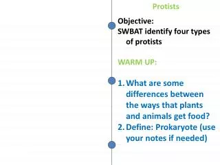 Objective: SWBAT identify four types of protists WARM UP: