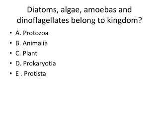 Diatoms, algae, amoebas and dinoflagellates belong to kingdom?