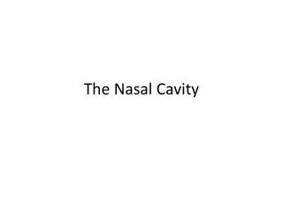 The Nasal Cavity