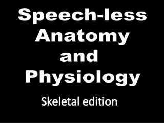 Speech-less Anatomy and Physiology