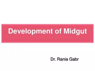 Development of Midgut