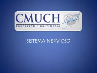 sistema nervioso