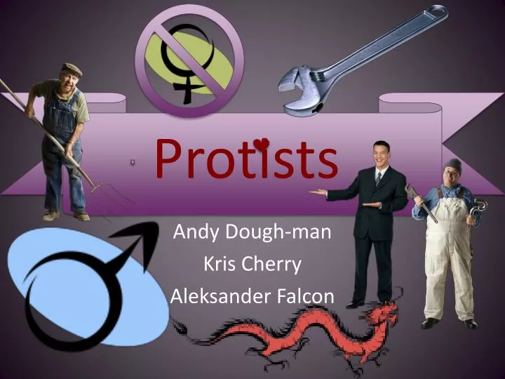 protists