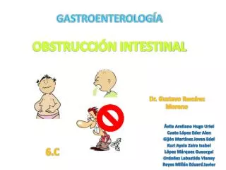 obstrucci n intestinal