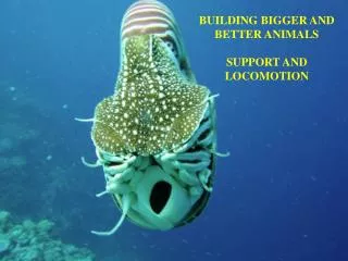 BUILDING BIGGER AND BETTER ANIMALS SUPPORT AND LOCOMOTION