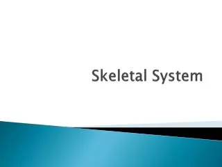 Skeletal System