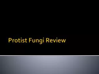 Protist Fungi Review
