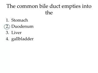 The common bile duct empties into the