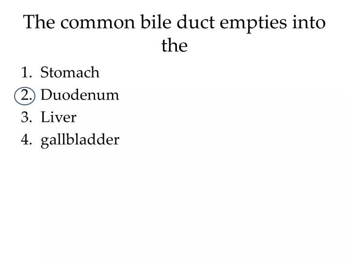 the common bile duct empties into the