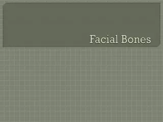 Facial Bones