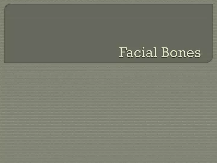 facial bones