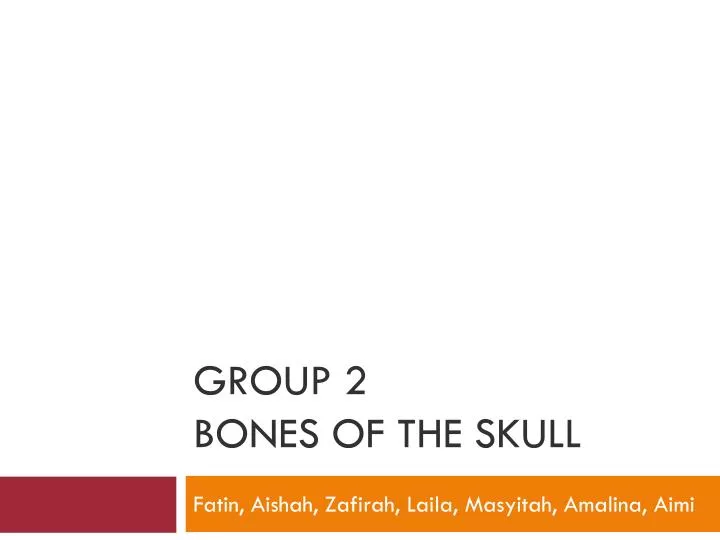 group 2 bones of the skull