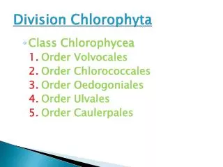 Division Chlorophyta