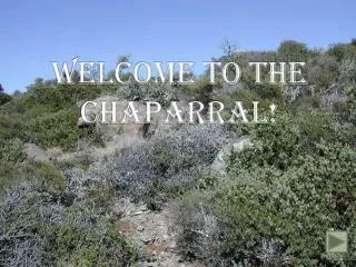 WELCOME TO THE CHAPARRAL!