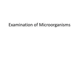 Examination of Microorganisms