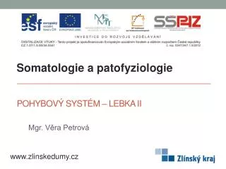 pohybov syst m lebka ii