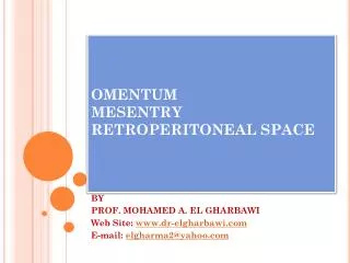 OMENTUM MESENTRY RETROPERITONEAL SPACE