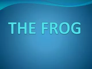 the frog