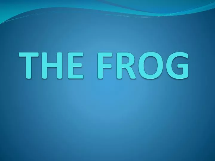 the frog