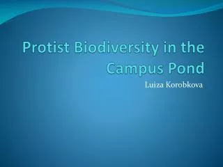 Protist Biodiversity in the Campus Pond