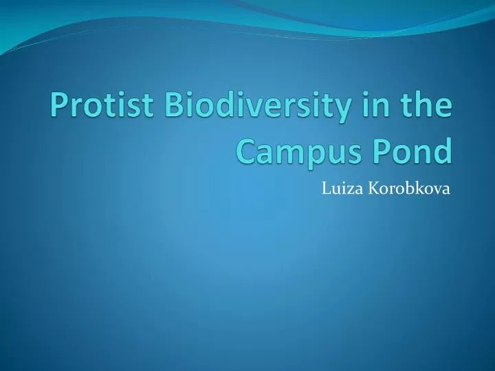 protist biodiversity in the campus pond