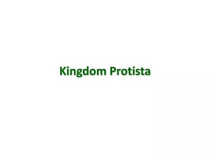 kingdom protista