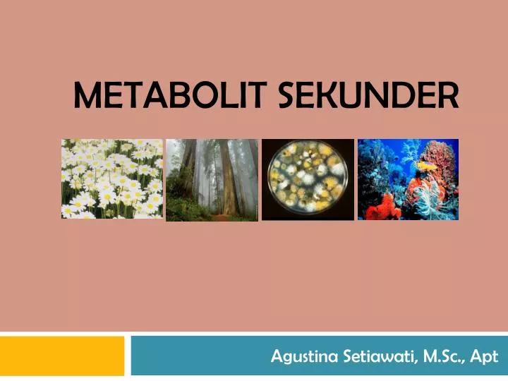 metabolit sekunder