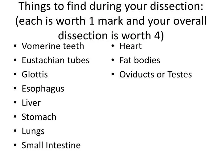 things to find during your dissection each is worth 1 mark and your overall dissection is worth 4
