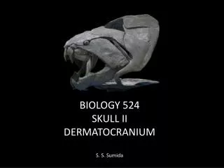 BIOLOGY 524 SKULL II DERMATOCRANIUM S. S. Sumida