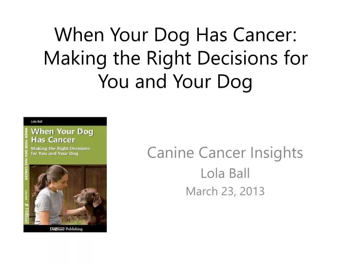 when your dog has cancer making the right decisions for you and your dog